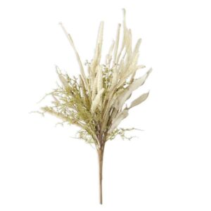 Green Asparagus Foliage w/ Berry Spikes & Eva Bush