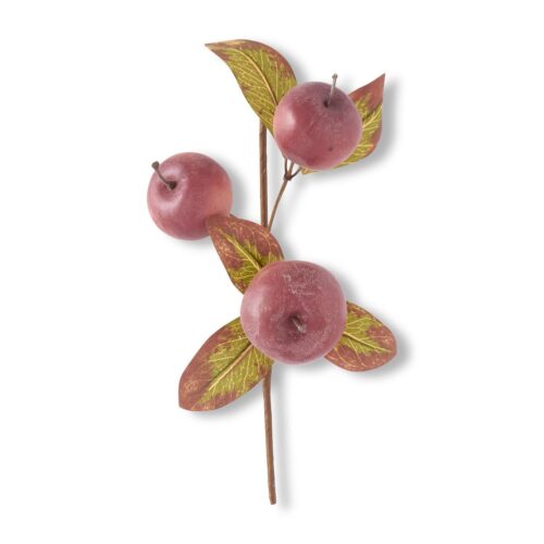 Burgundy Red Speckled Apple Pick