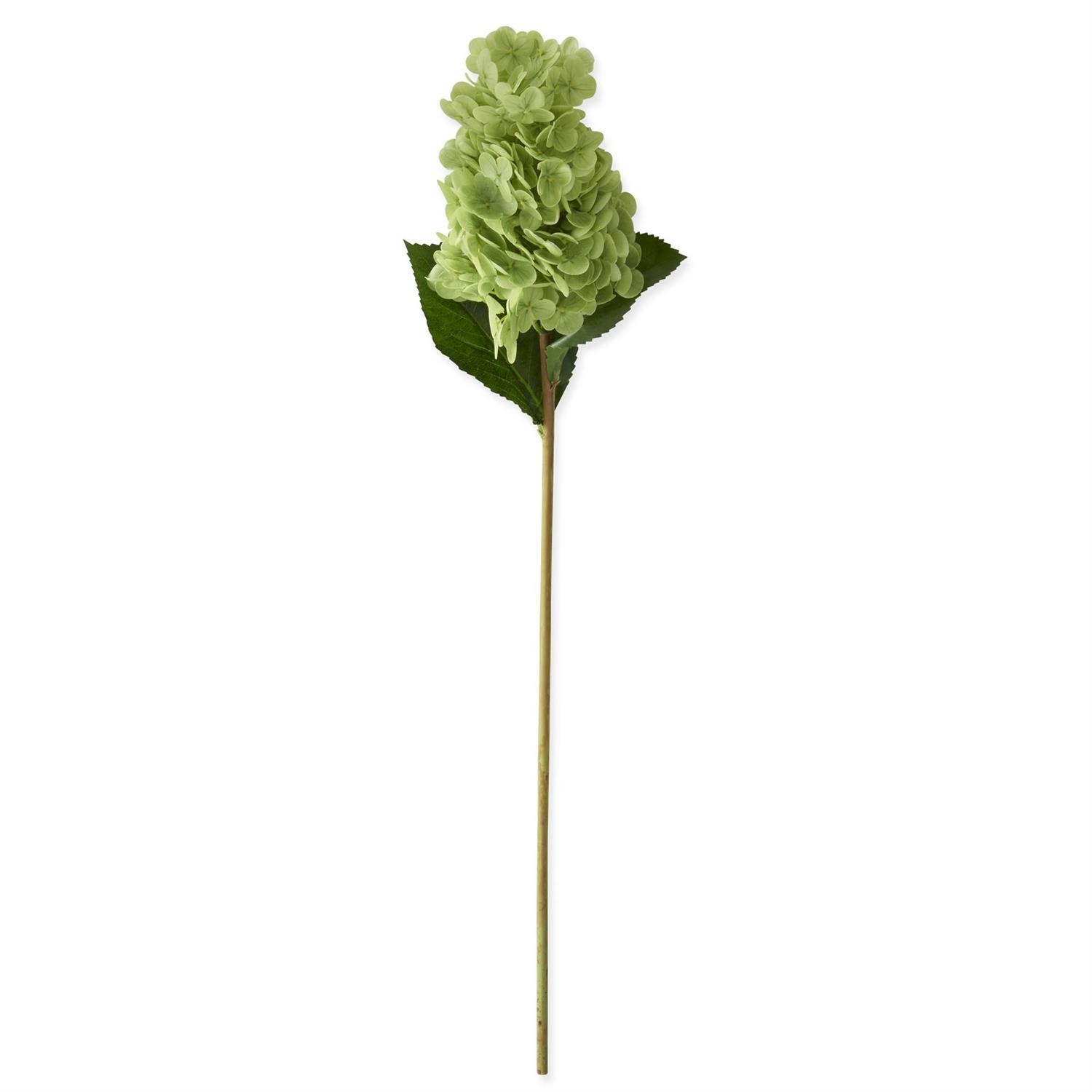 Green Real Touch Cone Hydrangea Stem