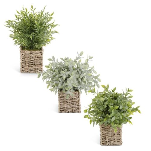 Herbs in Square Woven Basket