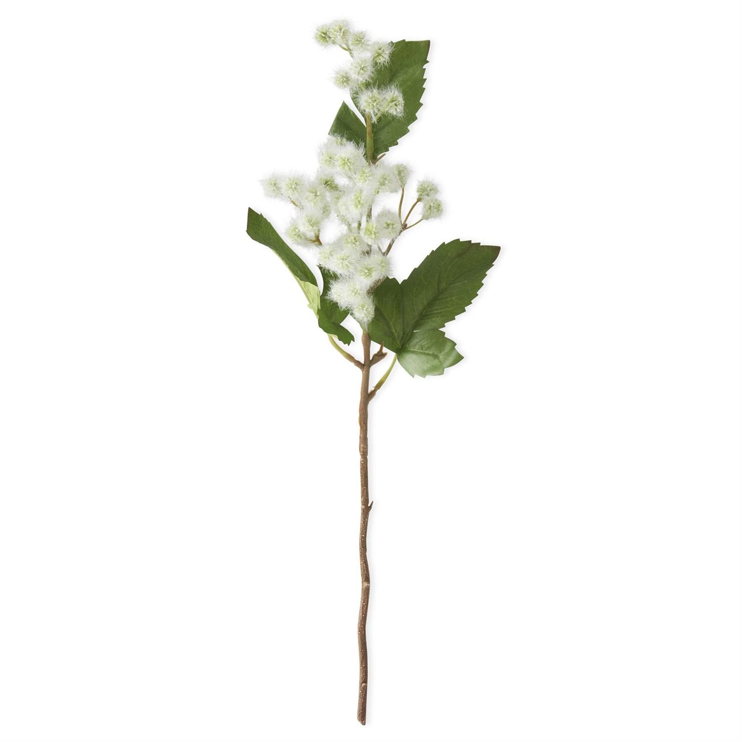 Meadowsweet Stem | White