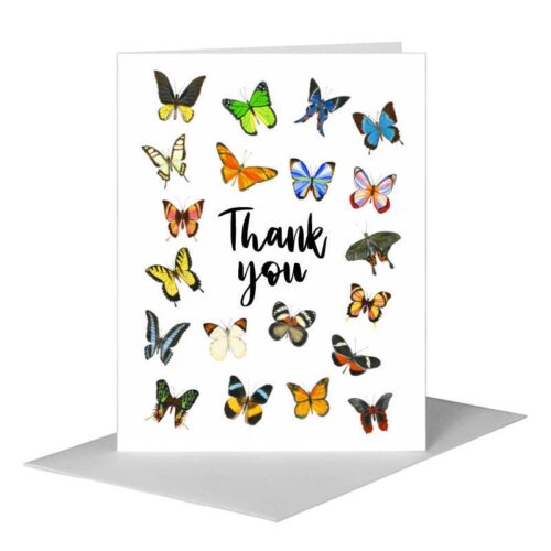 Butterflies