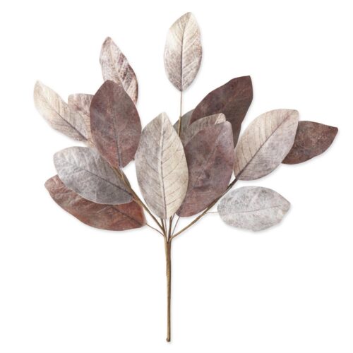 Multi Color Fall Magnolia Leaf Bush